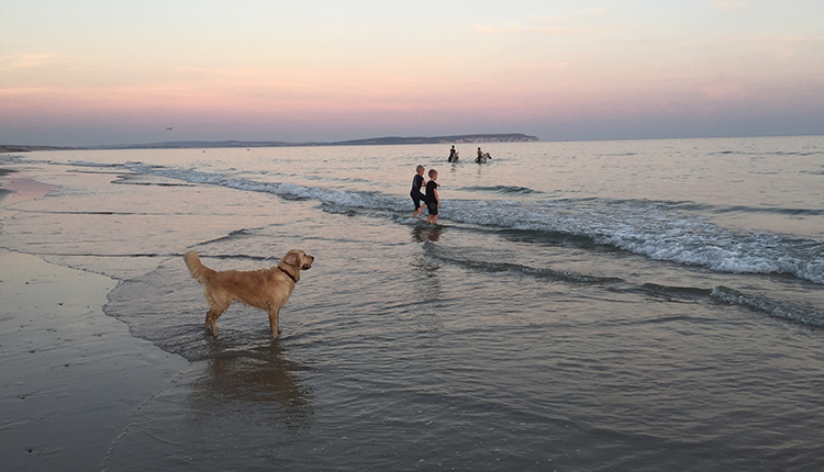 Beach at Hobourne Naishe